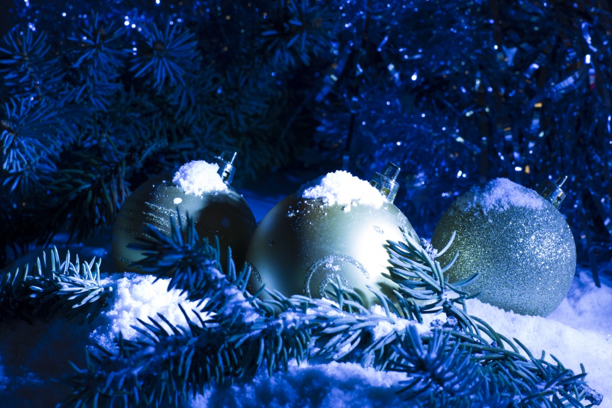 Electronic Christmas card for free Channel Islands Charter